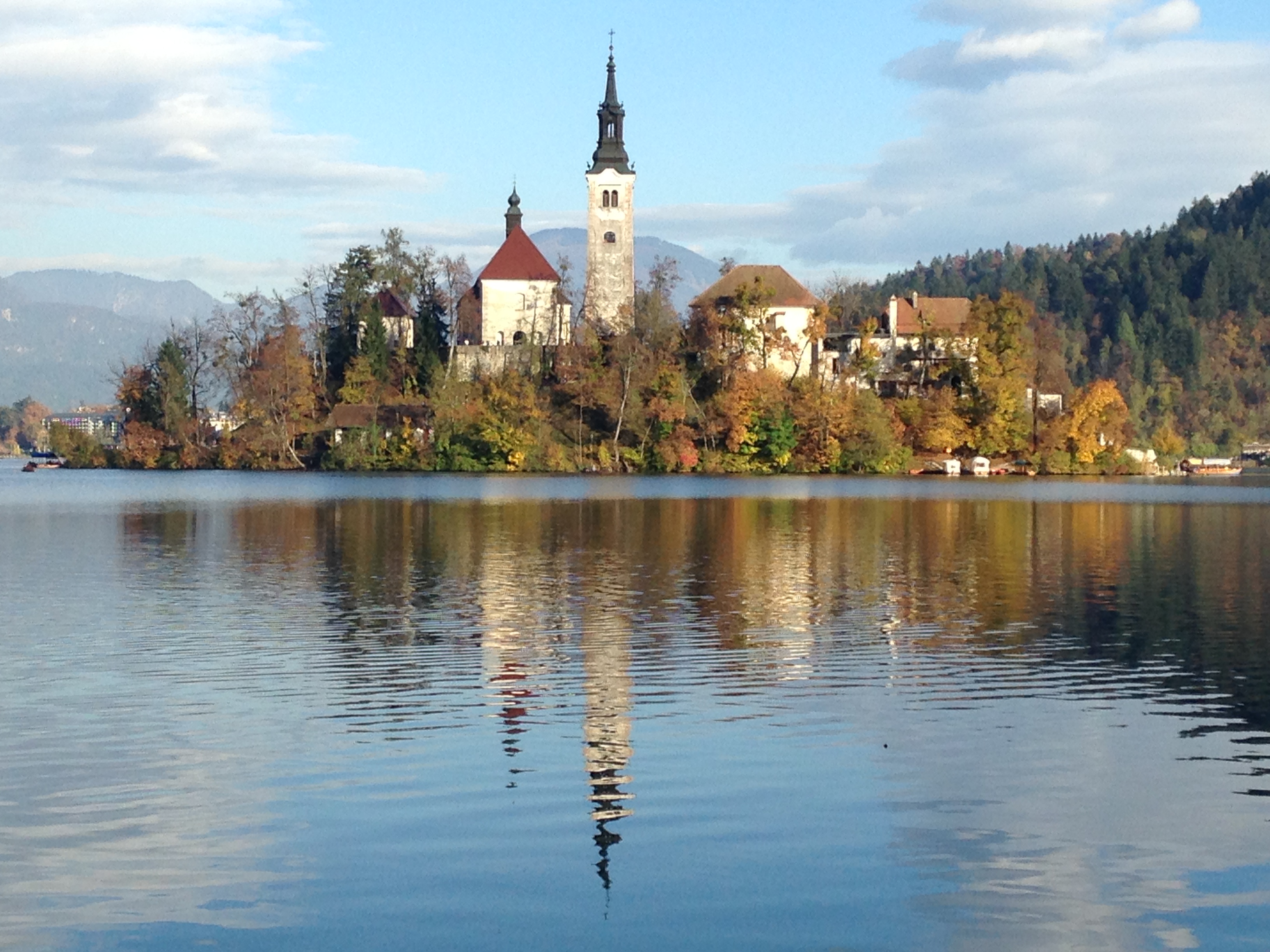 Insel im Bleder See