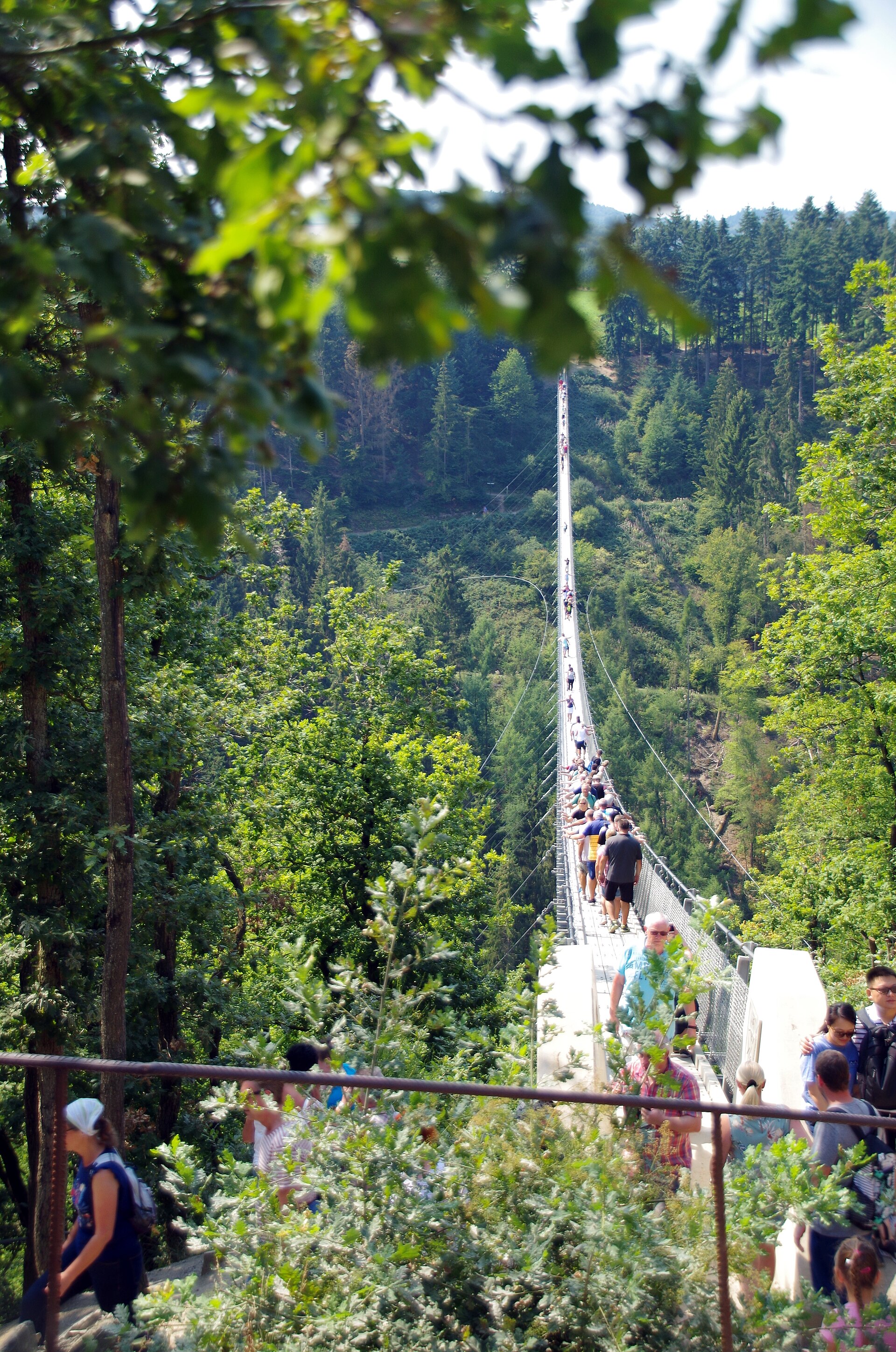 Hängebrücke Geierlay im Hunsrück