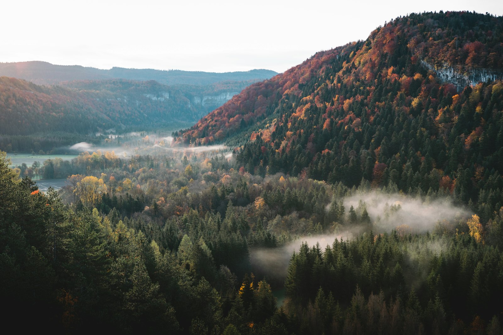 Bewaldete Jurahänge in Frankreich