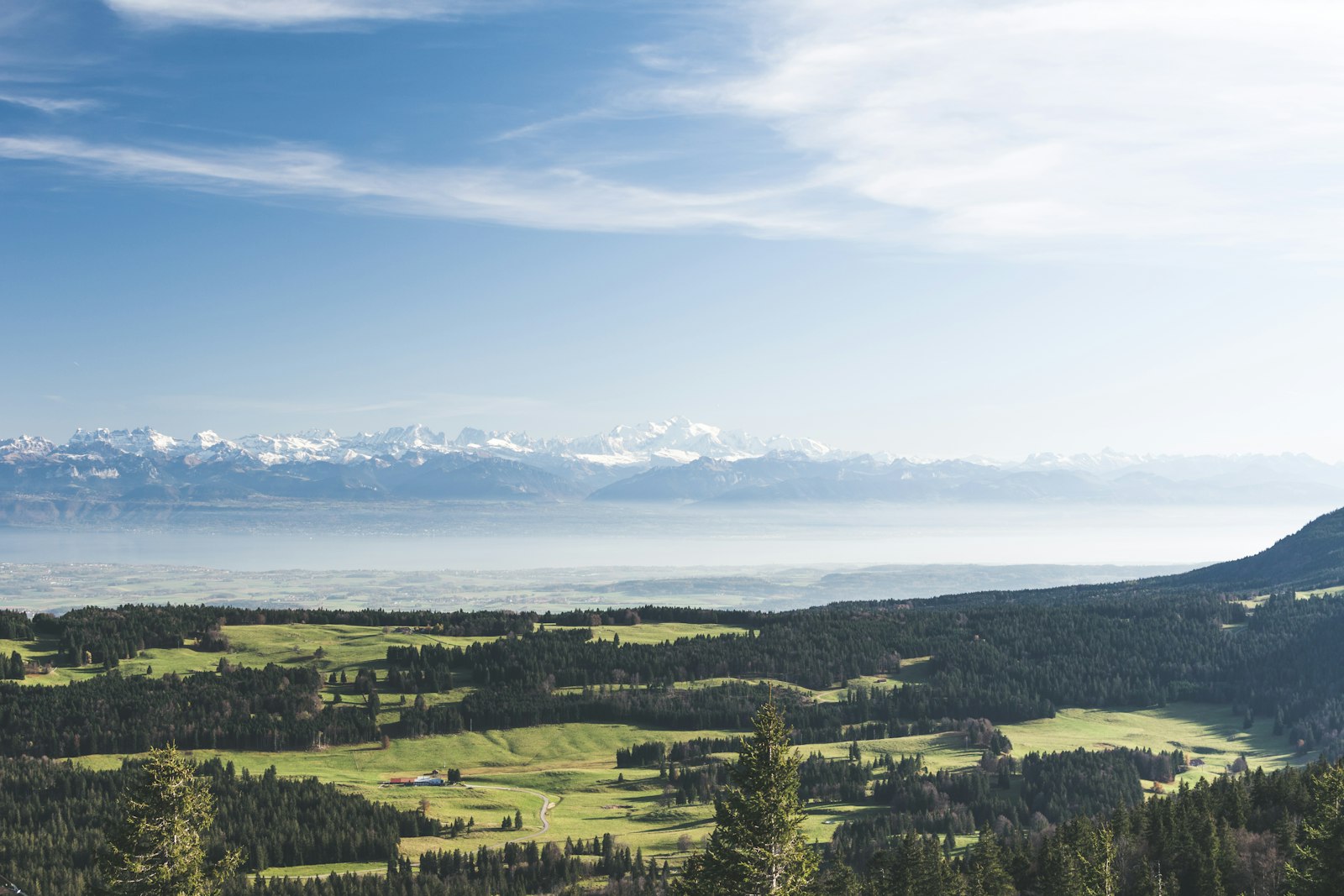 Jurawald bei der Vallée de Joux