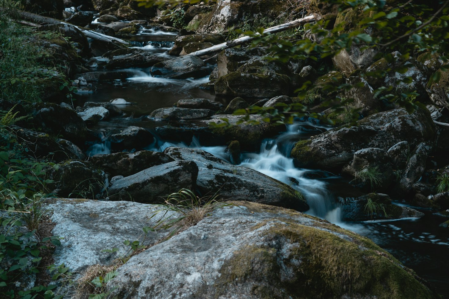 Bachlauf im Bayerischen Wald