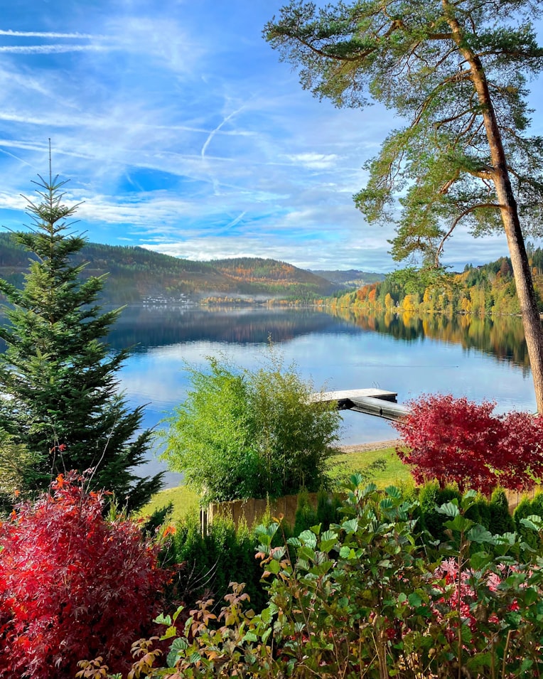 See und Wald im Hochschwarzwald
