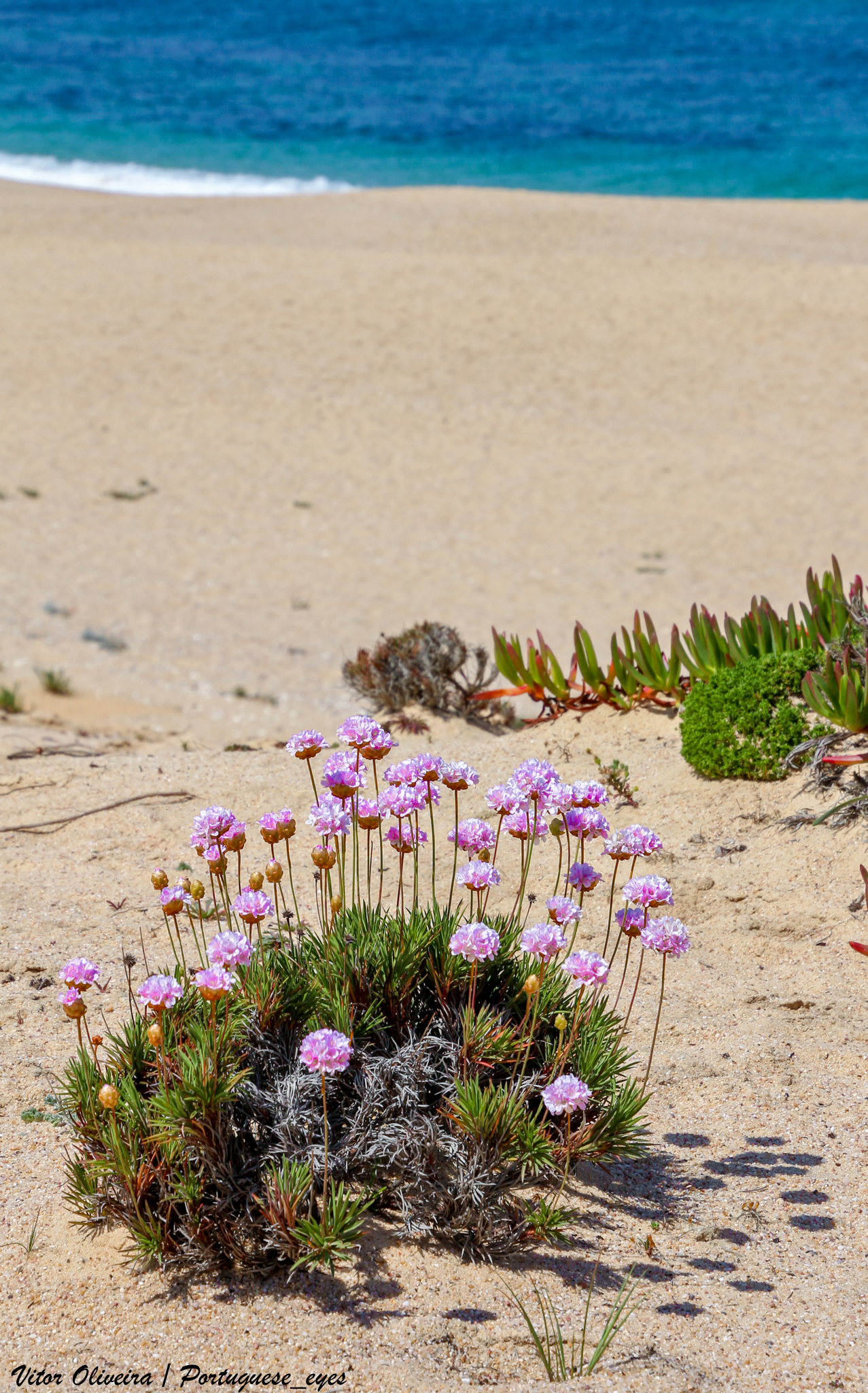 Atlantikstrand in Nordportugal