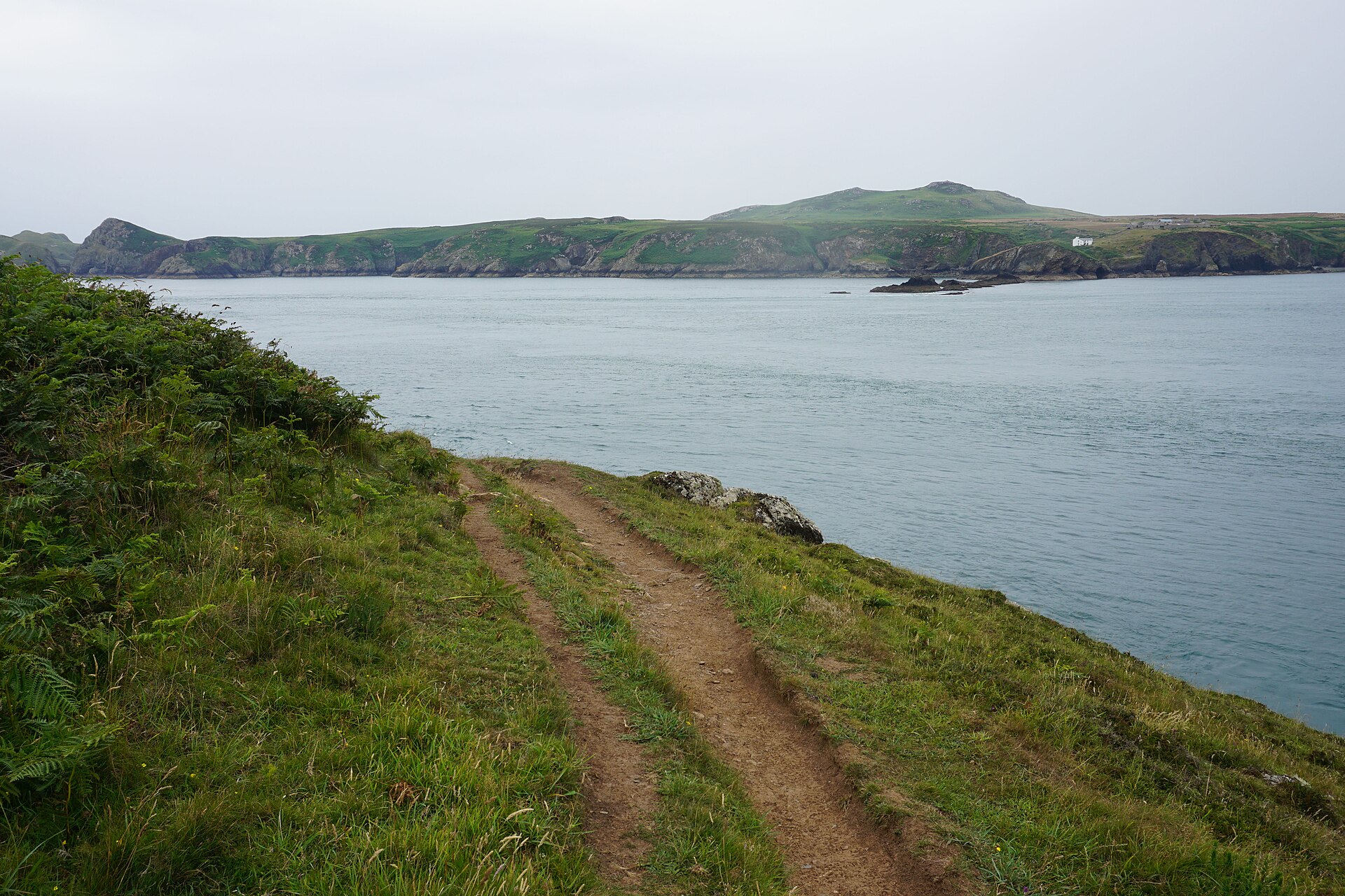 Pembrokeshire Coast Path am Ramsey Sound