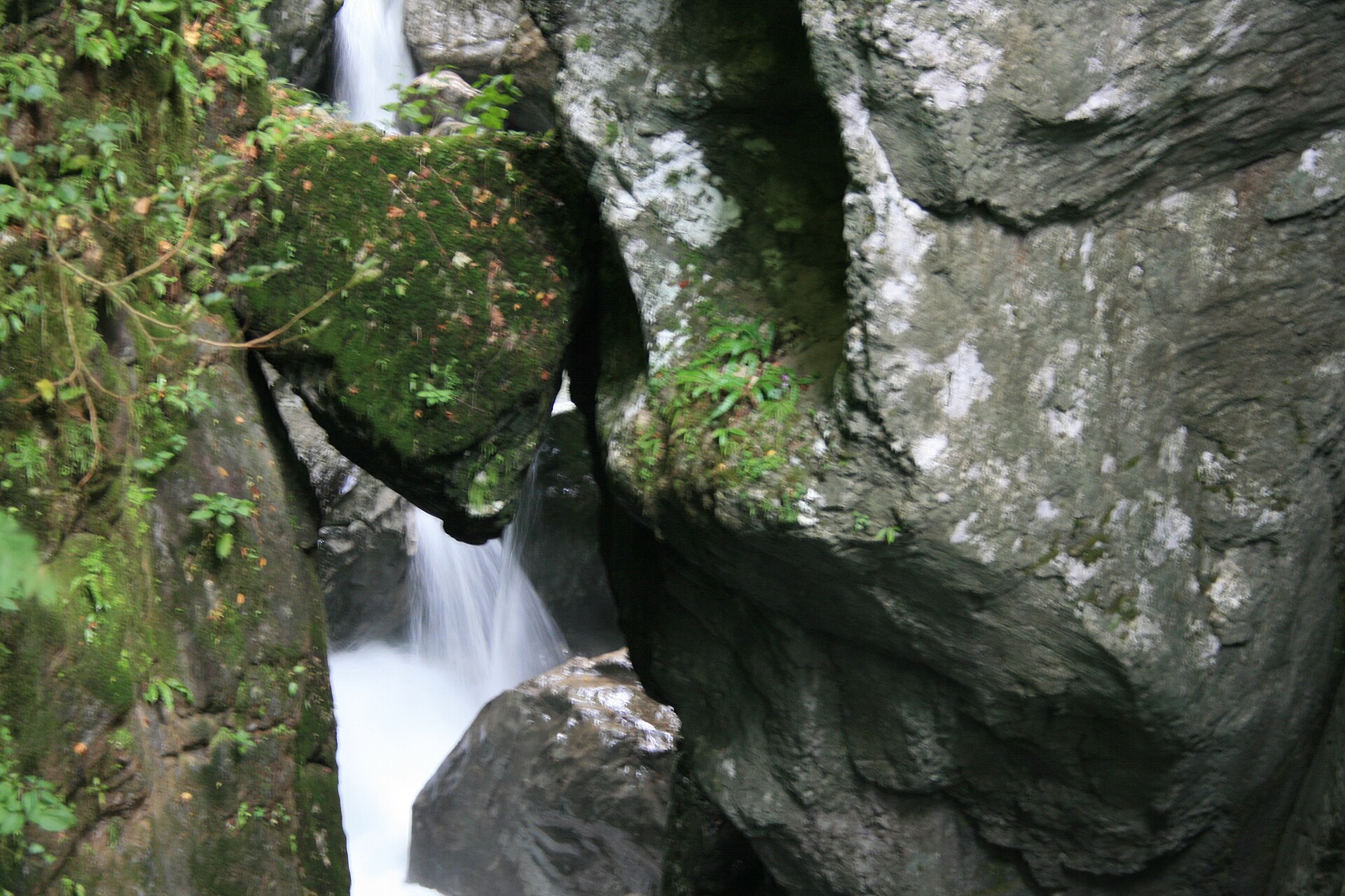 Wasserlauf in der Tolmin-Schlucht