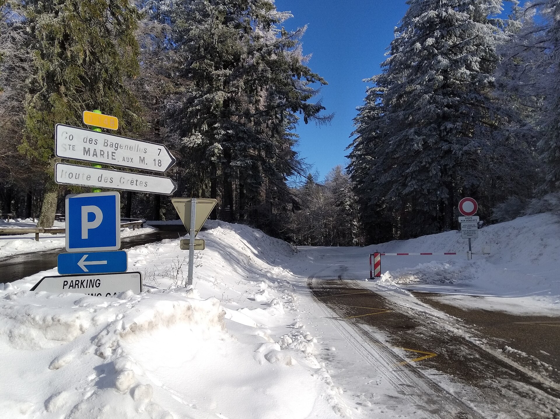 Route des Crêtes in den Vogesen